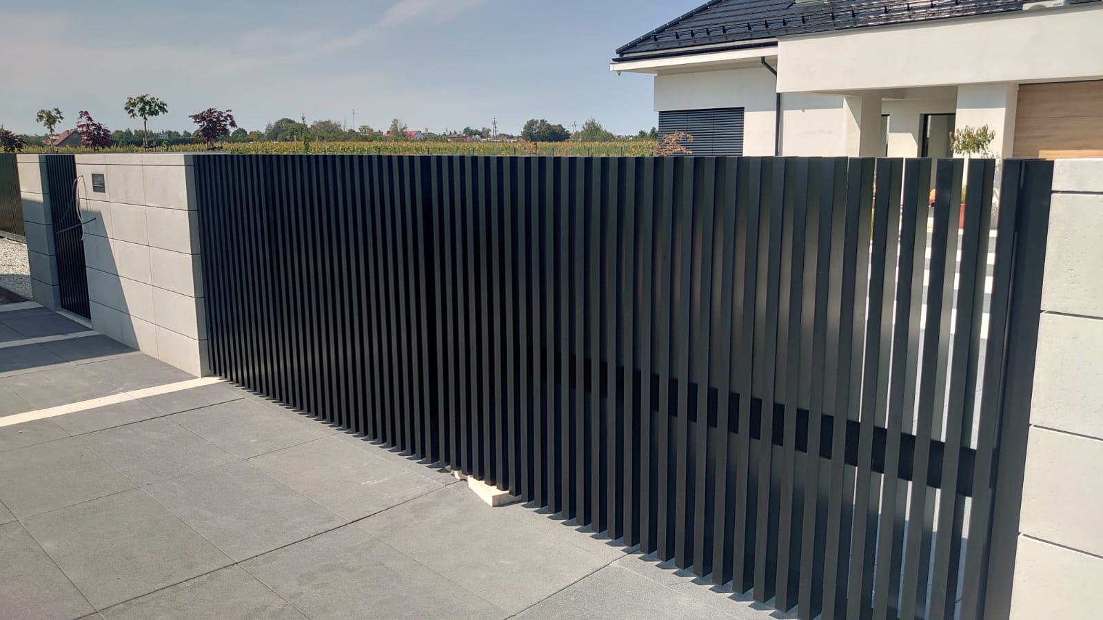 comb-standard-4-09-2024 (7)